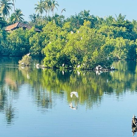 Eagles Nest Cabanas Тангалле Екстер'єр фото